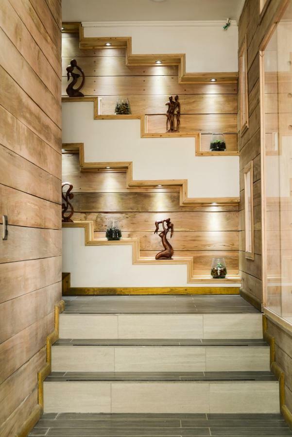 Hotel Pucon Indomito Экстерьер фото